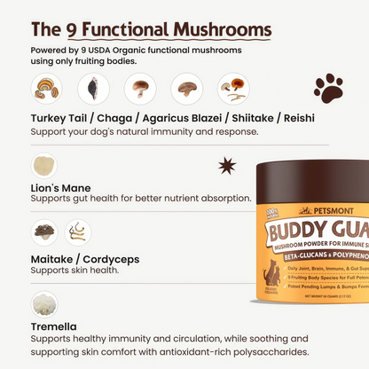 PETSMONT BUDDY GUARD: The Supplement For Dogs With Lumps & Bumps